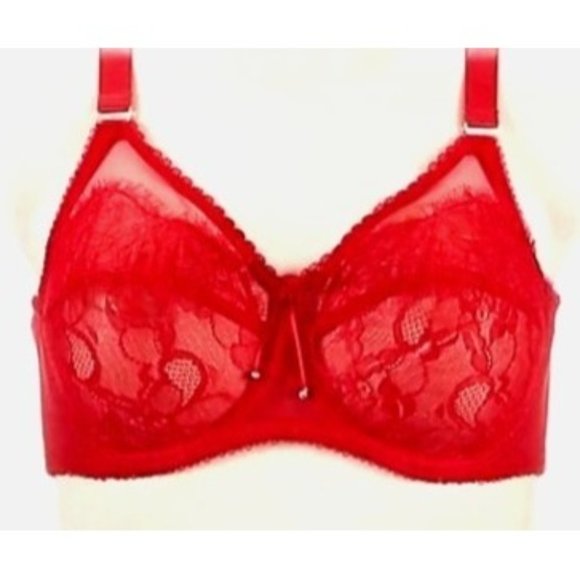 NWT Smart Sexy Pin Up Unlined Underwire Bra 46DDD Red Sheer Floral Valen… - Picture 1 of 12